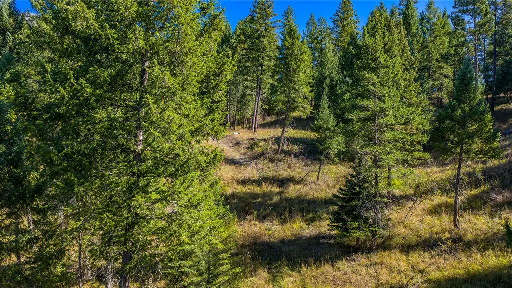 Nhn Blaine View Lane Kalispell MT 59901
