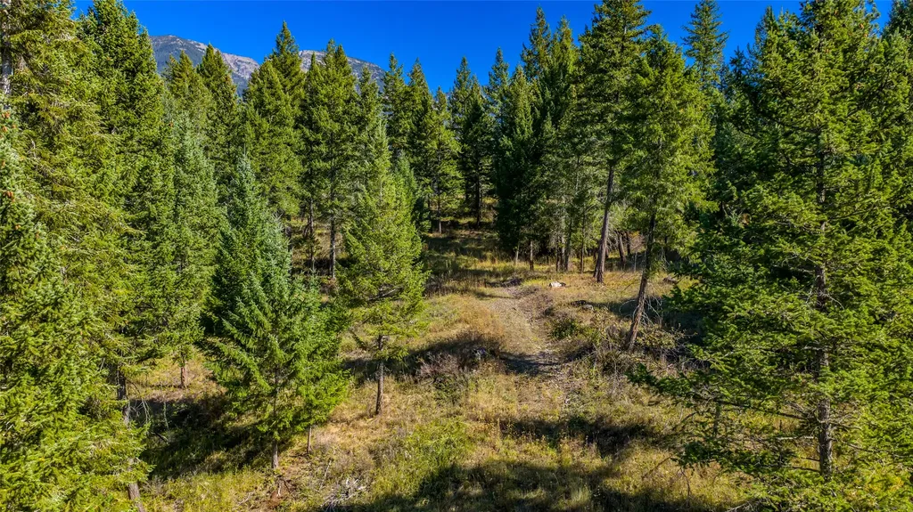 Nhn Blaine View Lane Kalispell MT 59901