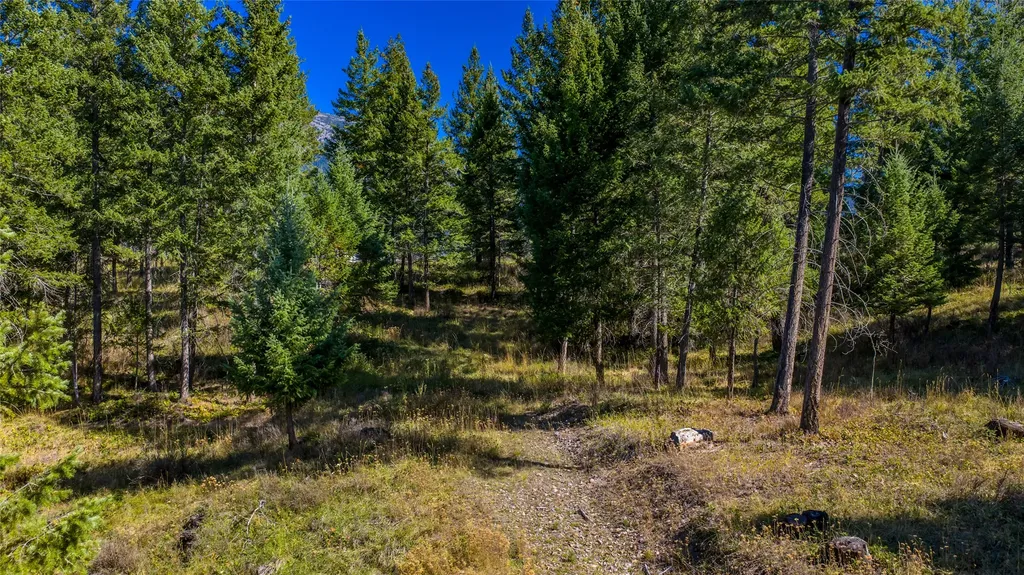 Nhn Blaine View Lane Kalispell MT 59901