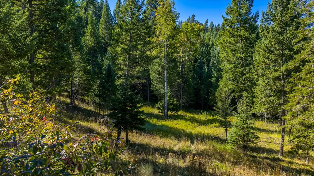 Nhn Blaine View Lane Kalispell MT 59901