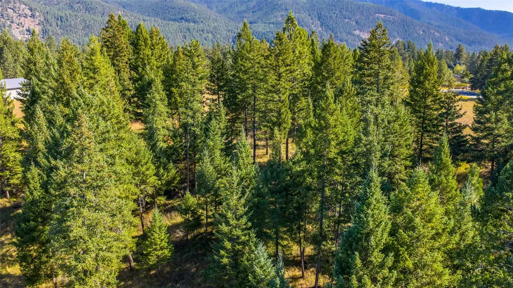 Nhn Blaine View Lane Kalispell MT 59901
