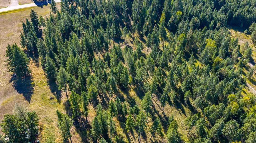 Nhn Blaine View Lane Kalispell MT 59901