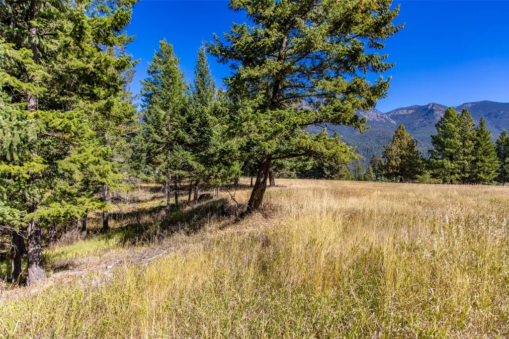 Nhn Blaine View Lane Kalispell MT 59901