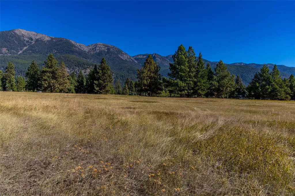 Nhn Blaine View Lane Kalispell MT 59901