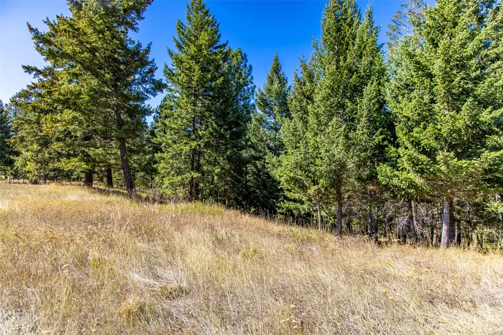 Nhn Blaine View Lane Kalispell MT 59901