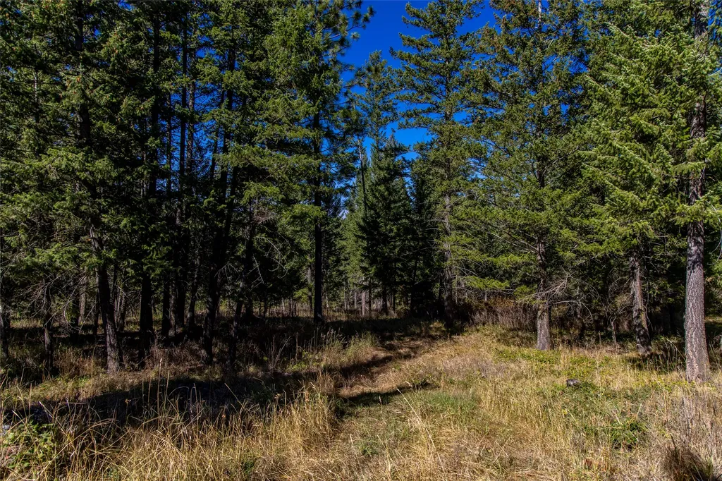 Nhn Blaine View Lane Kalispell MT 59901