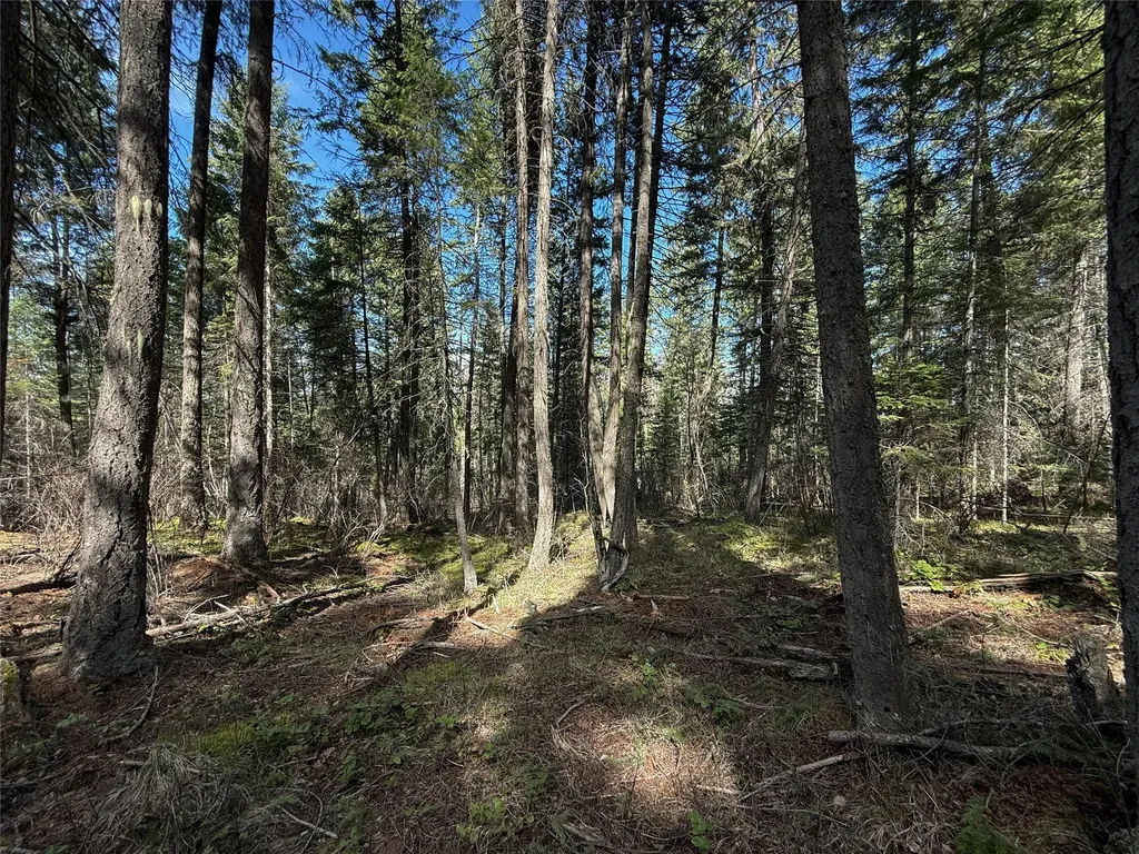N/a Wapiti Point Drive Thompson Falls MT 59873