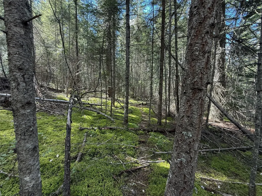 N/a Wapiti Point Drive Thompson Falls MT 59873