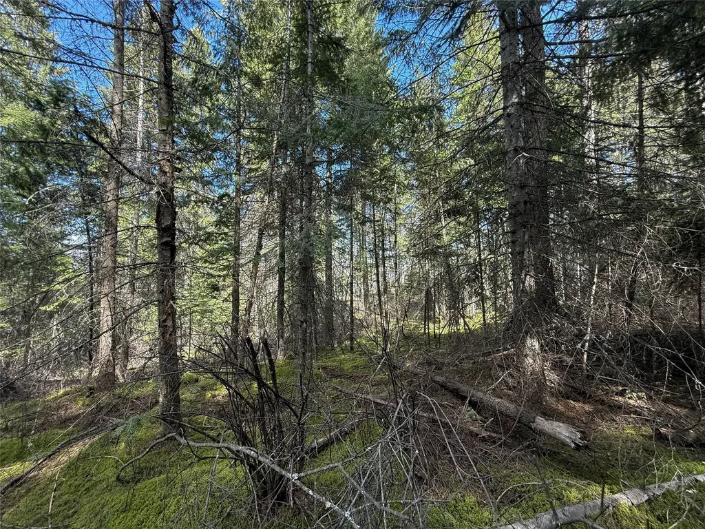 N/a Wapiti Point Drive Thompson Falls MT 59873