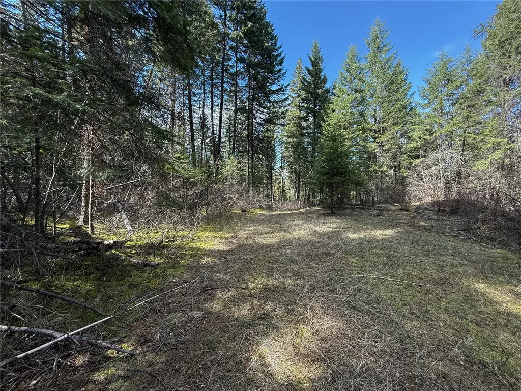 N/a Wapiti Point Drive Thompson Falls MT 59873