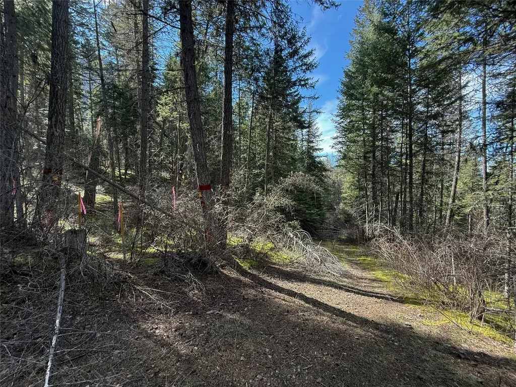 N/a Wapiti Point Drive Thompson Falls MT 59873