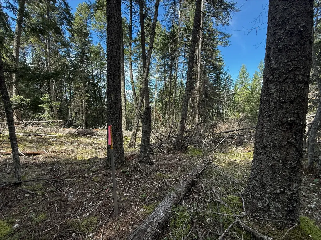 N/a Wapiti Point Drive Thompson Falls MT 59873