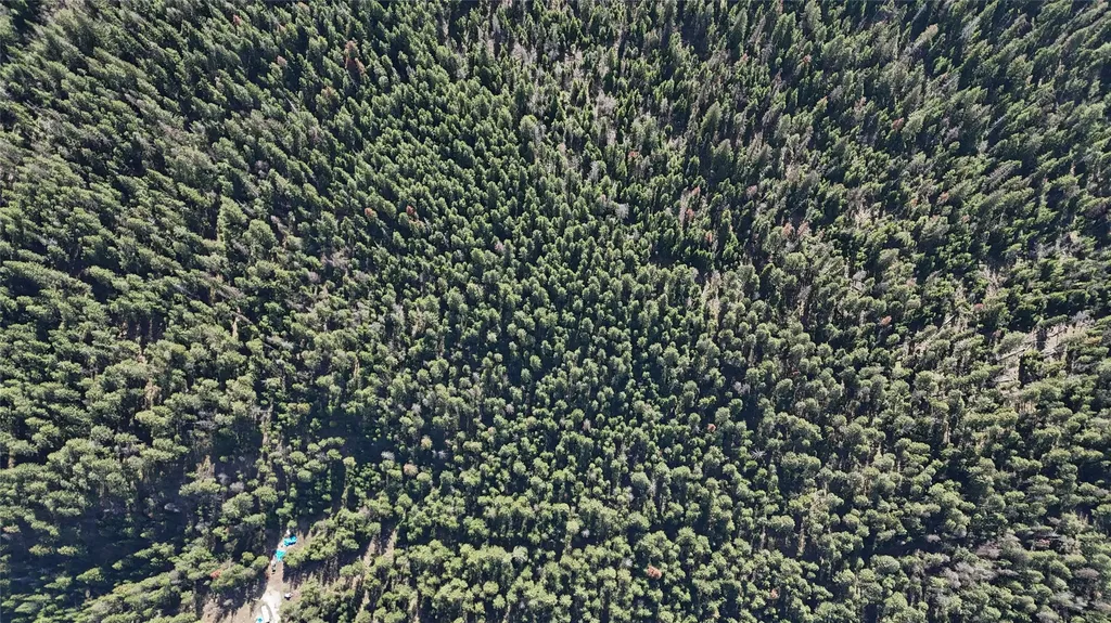 N/a Wapiti Point Drive Thompson Falls MT 59873
