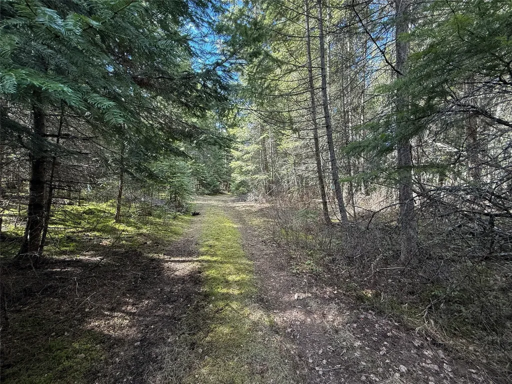 N/a Wapiti Point Drive Thompson Falls MT 59873