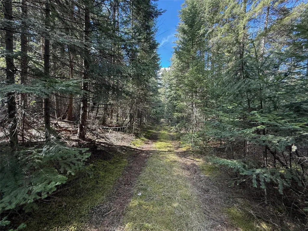 N/a Wapiti Point Drive Thompson Falls MT 59873