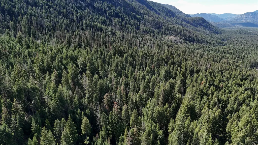 N/a Wapiti Point Drive Thompson Falls MT 59873