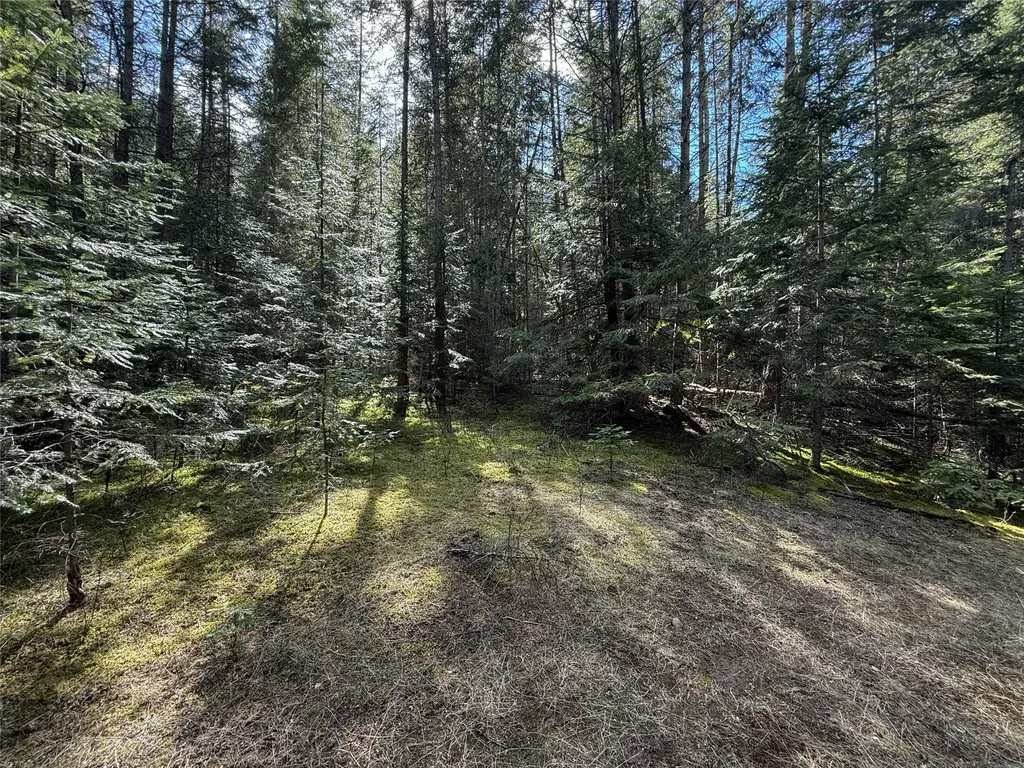 N/a Wapiti Point Drive Thompson Falls MT 59873