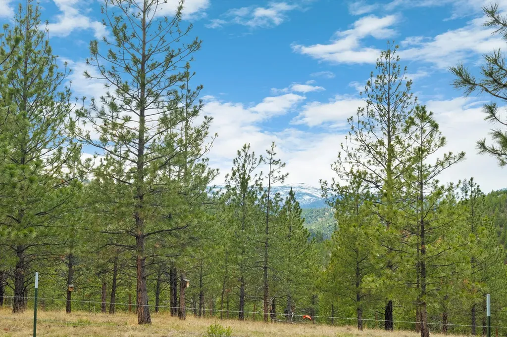 4090 Hubbart Dam Road Marion MT 59925