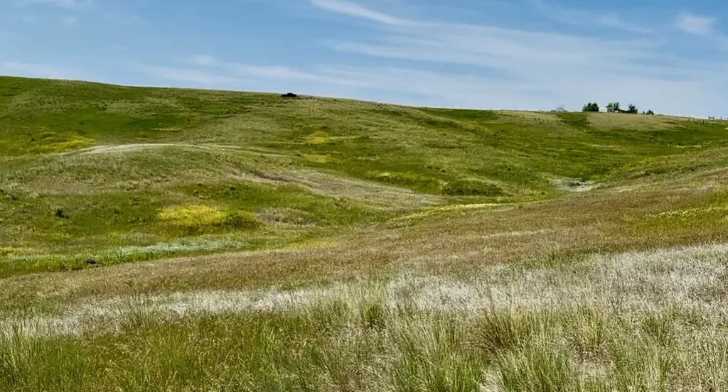 132, 136, 140 Cove Lane Great Falls MT 59404