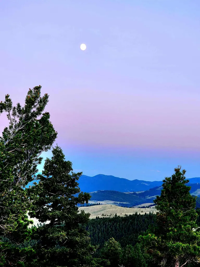 7221 Raven Road Helena MT 59602