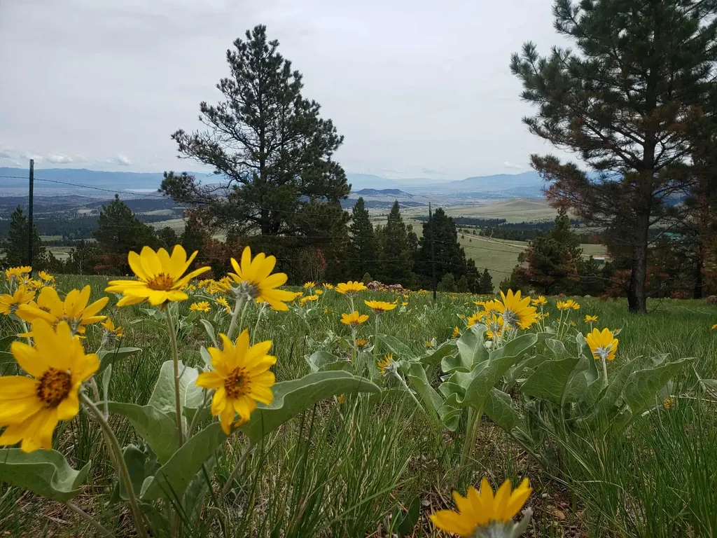 7221 Raven Road Helena MT 59602