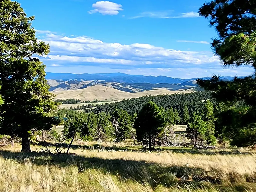 7221 Raven Road Helena MT 59602