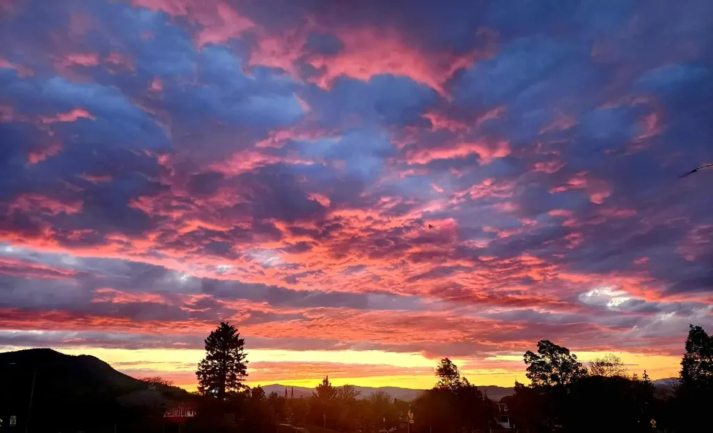 7221 Raven Road Helena MT 59602