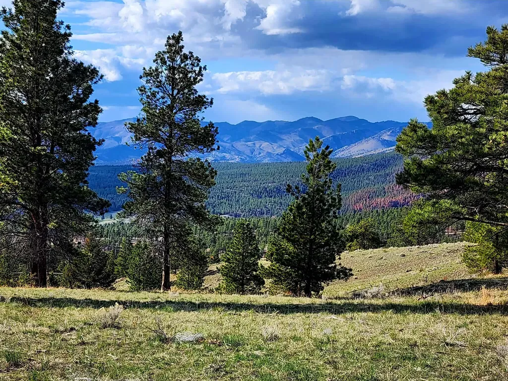 7221 Raven Road Helena MT 59602