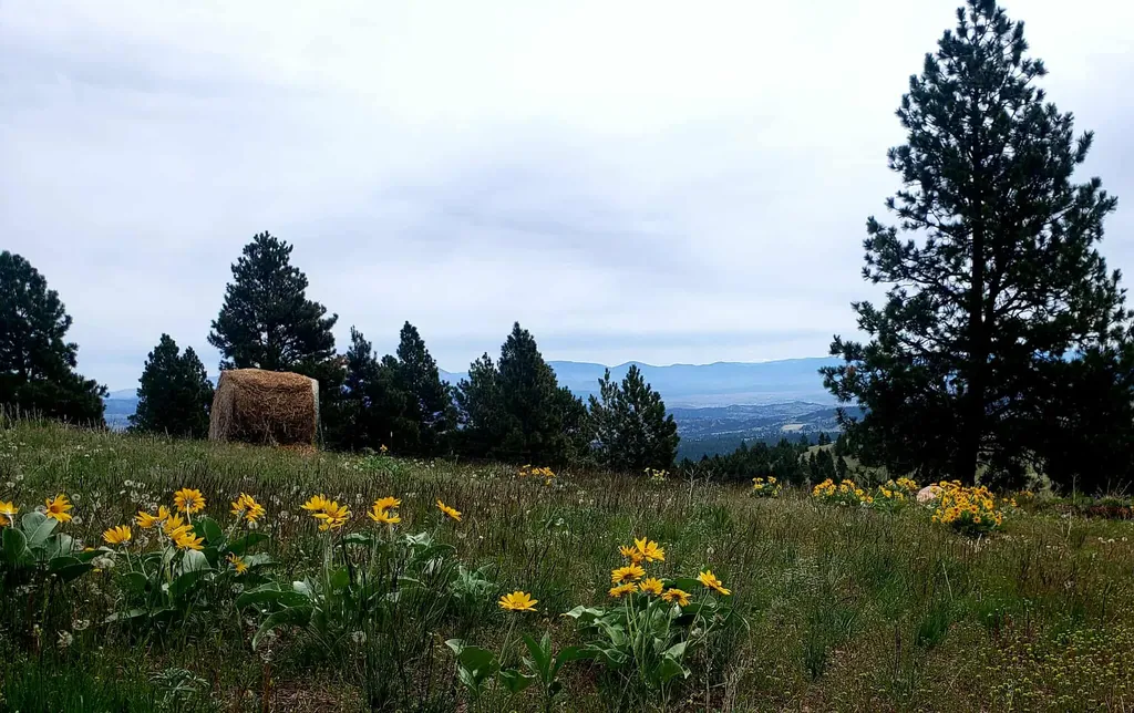 7221 Raven Road Helena MT 59602