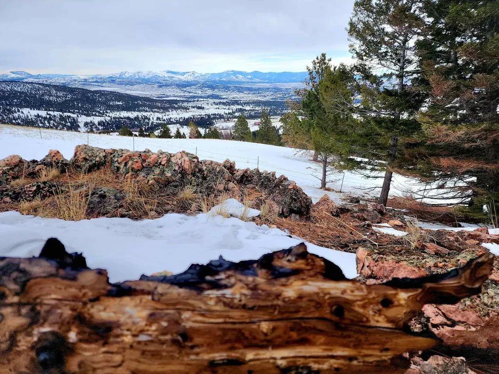 7221 Raven Road Helena MT 59602