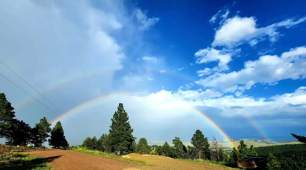 7221 Raven Road Helena MT 59602