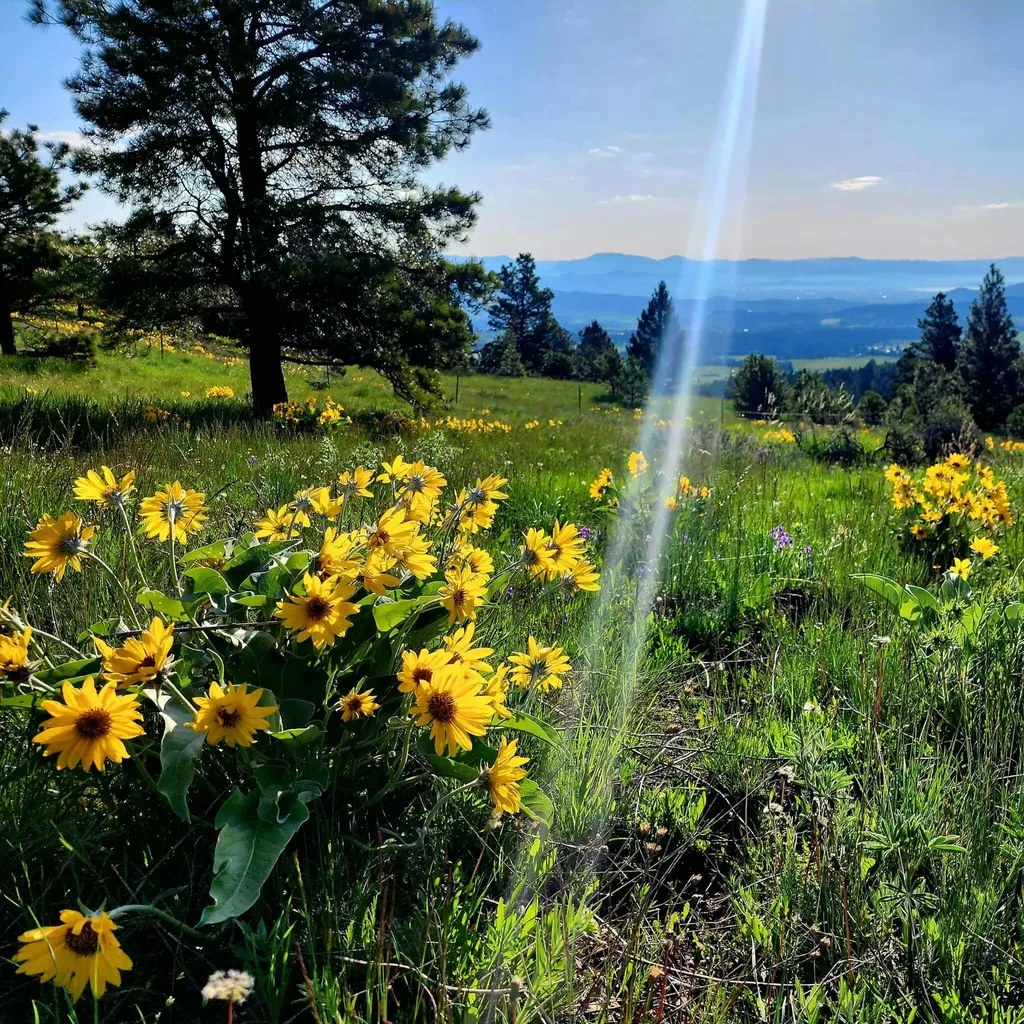 7221 Raven Road Helena MT 59602