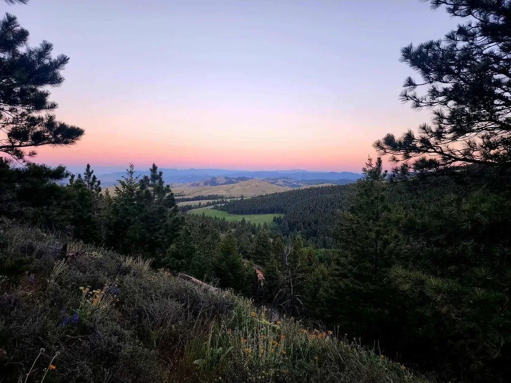 7221 Raven Road Helena MT 59602
