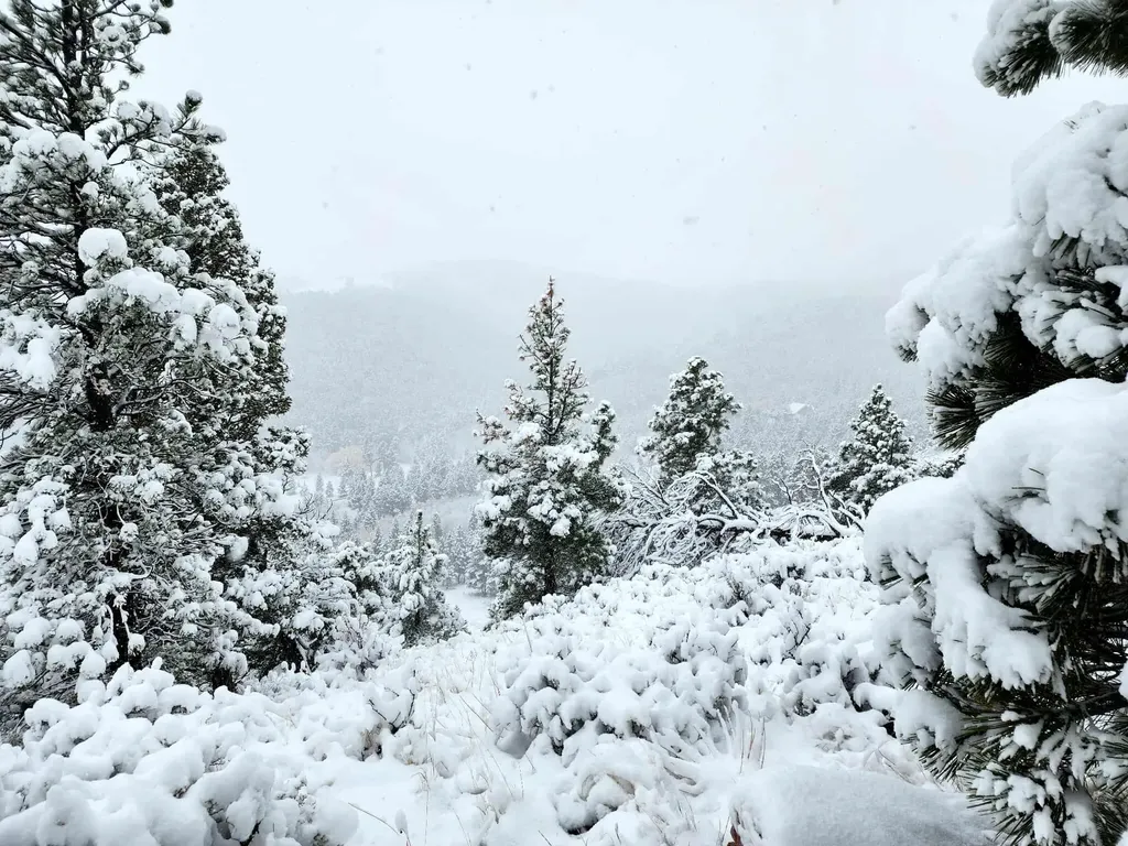 7221 Raven Road Helena MT 59602
