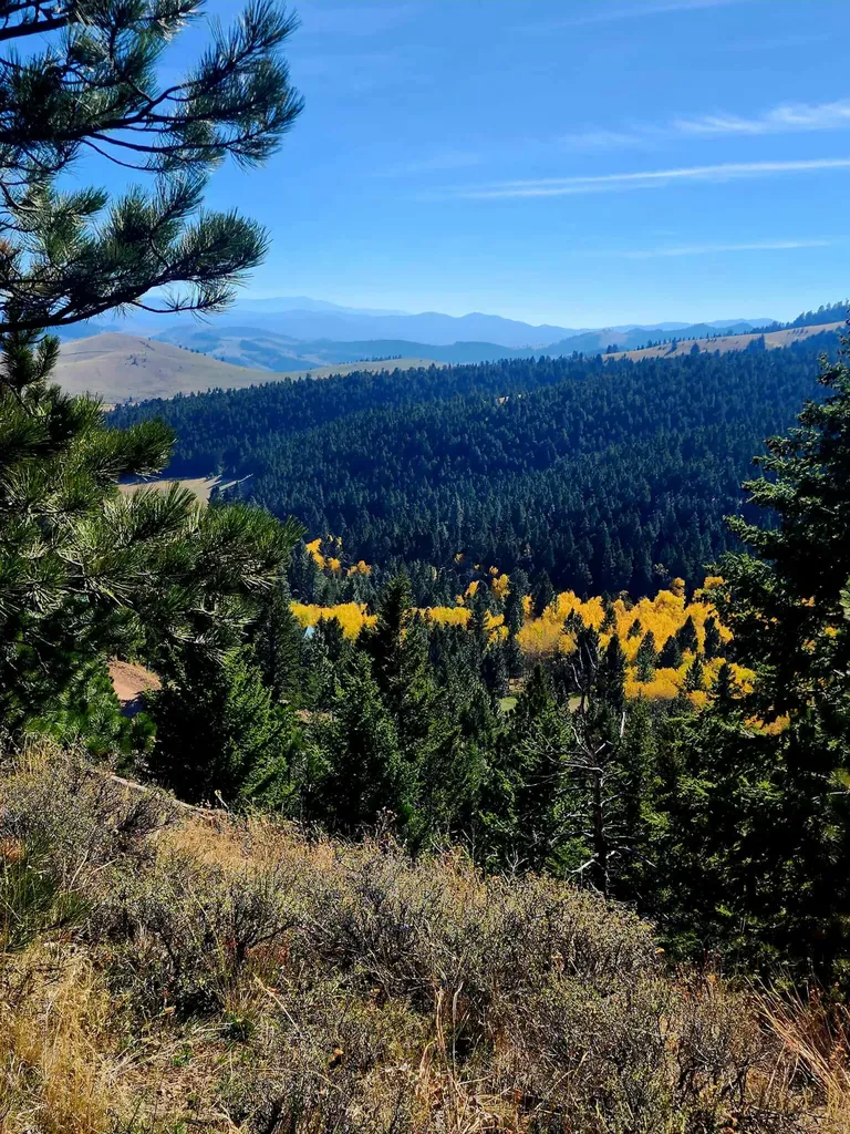 7221 Raven Road Helena MT 59602