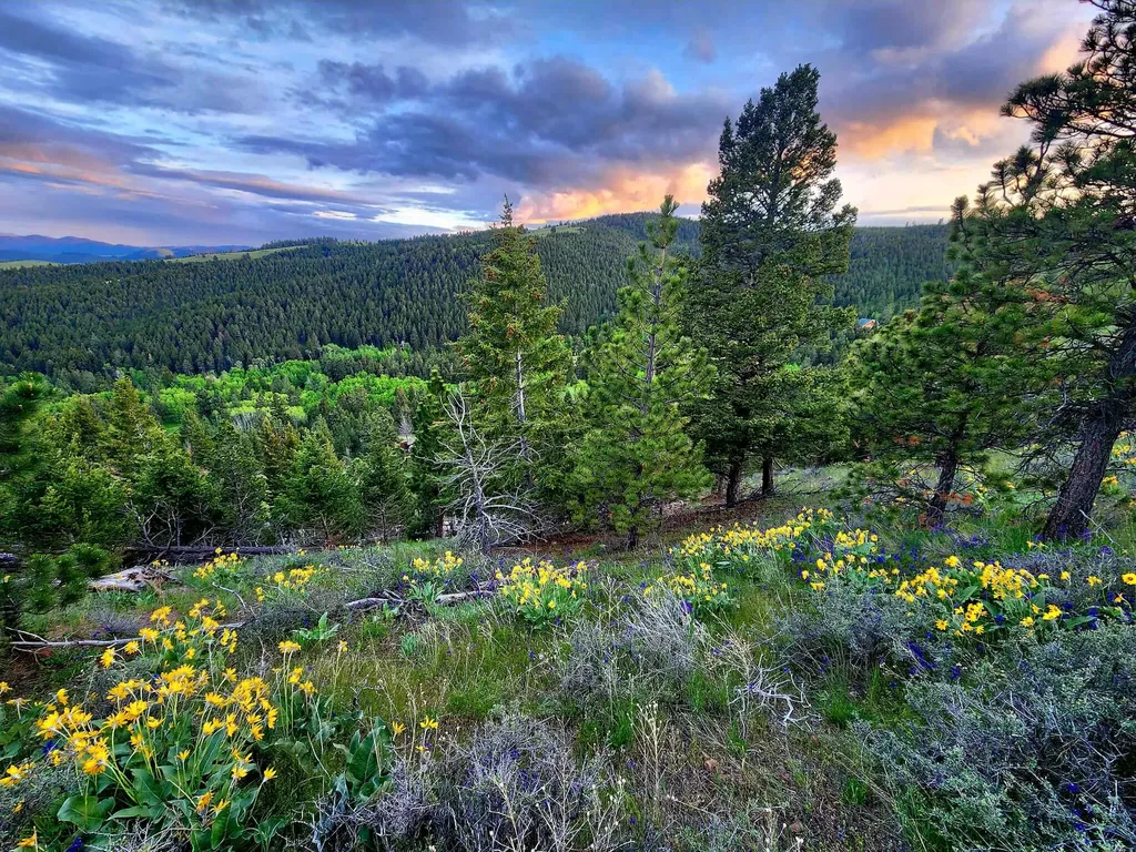 7221 Raven Road Helena MT 59602