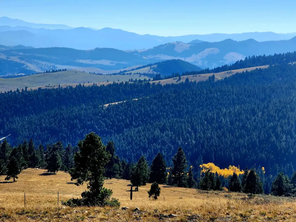 7221 Raven Road Helena MT 59602