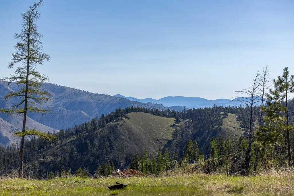 Lolo Peak Shadows Lolo MT 59847