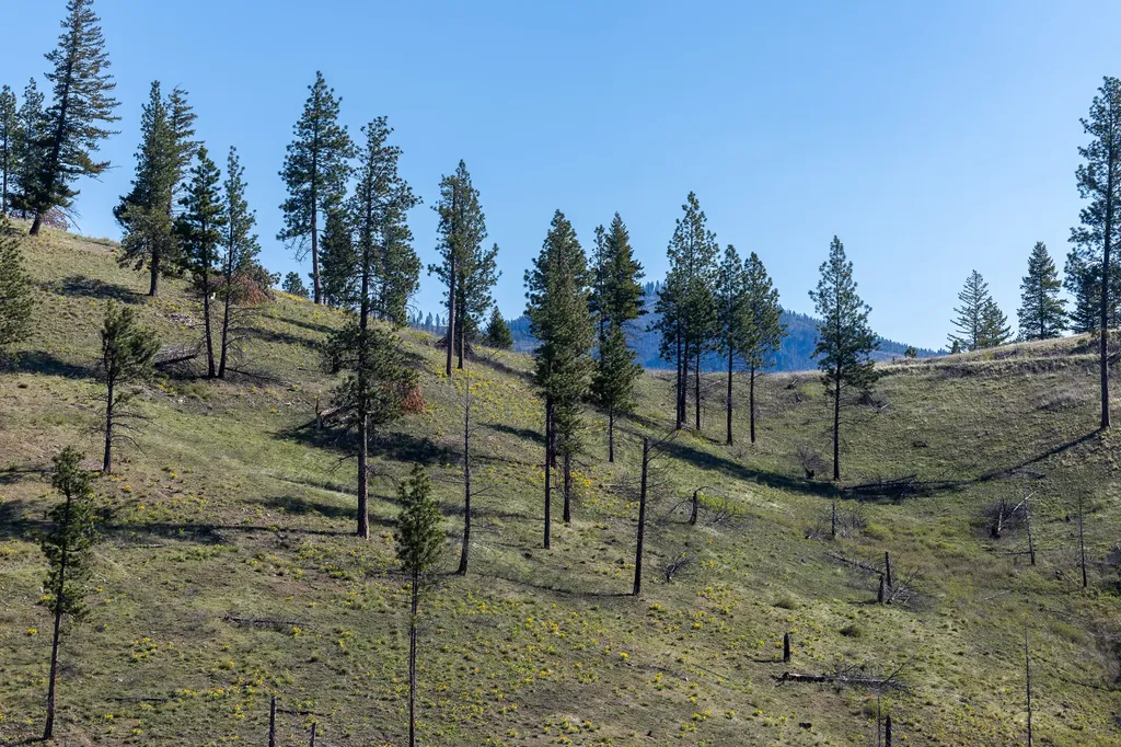 Lolo Peak Shadows Lolo MT 59847