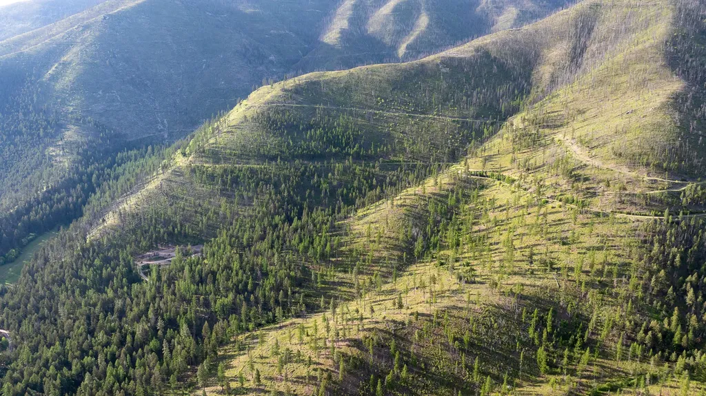 Lolo Peak Shadows Lolo MT 59847