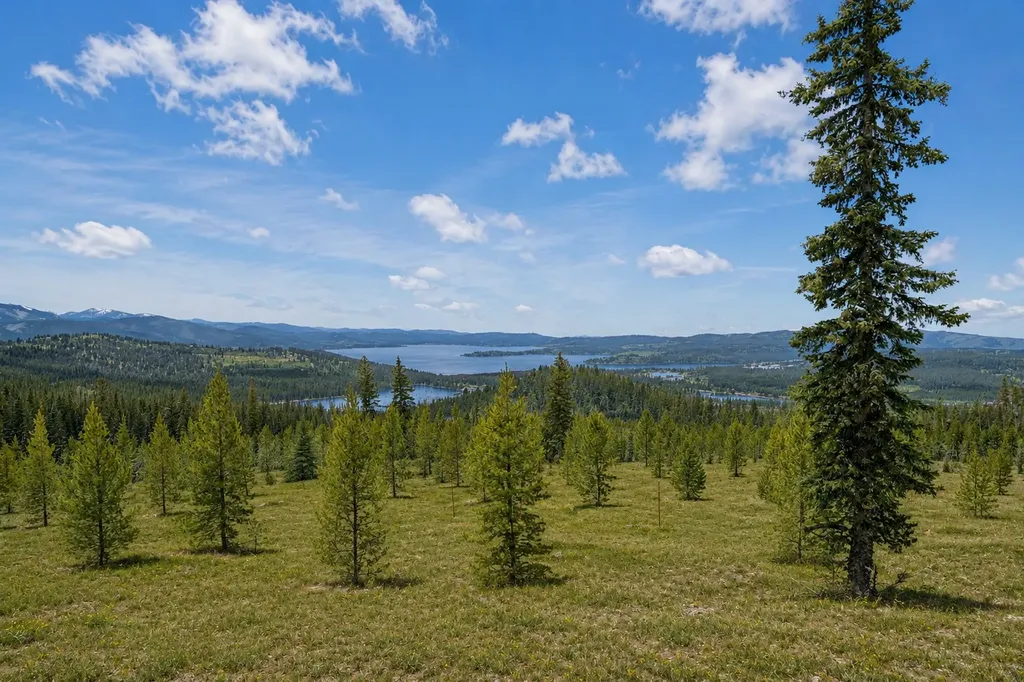 105 Damsel Lane Anaconda MT 59711