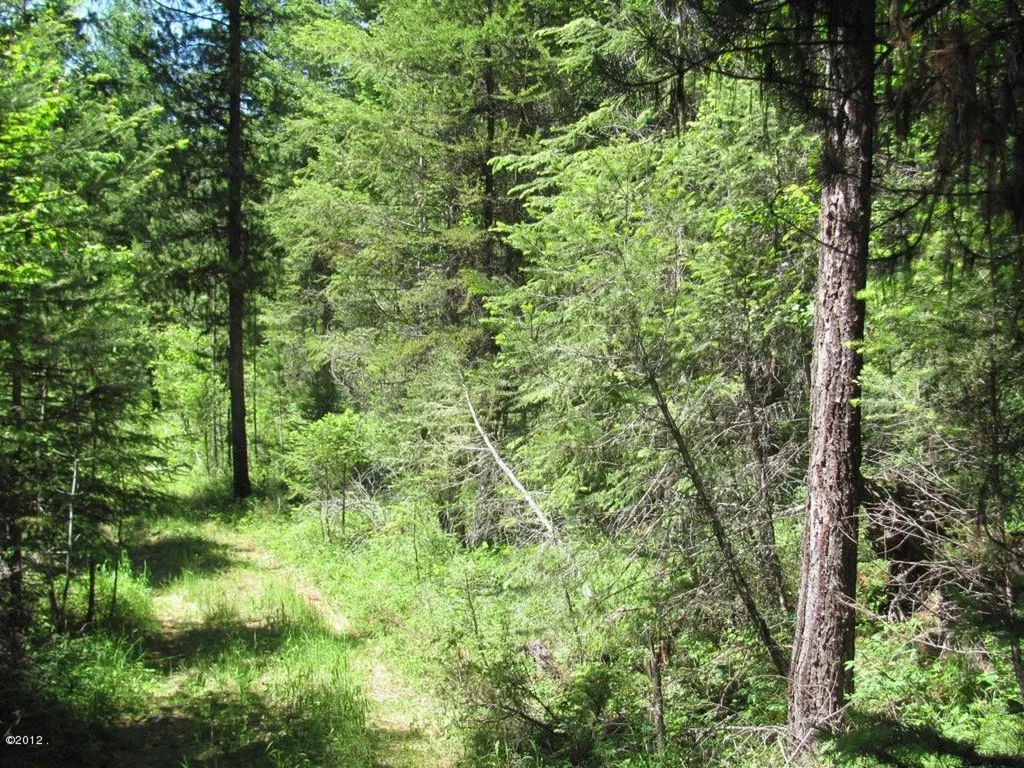 Nhn Sinclair Lane Eureka MT 59917