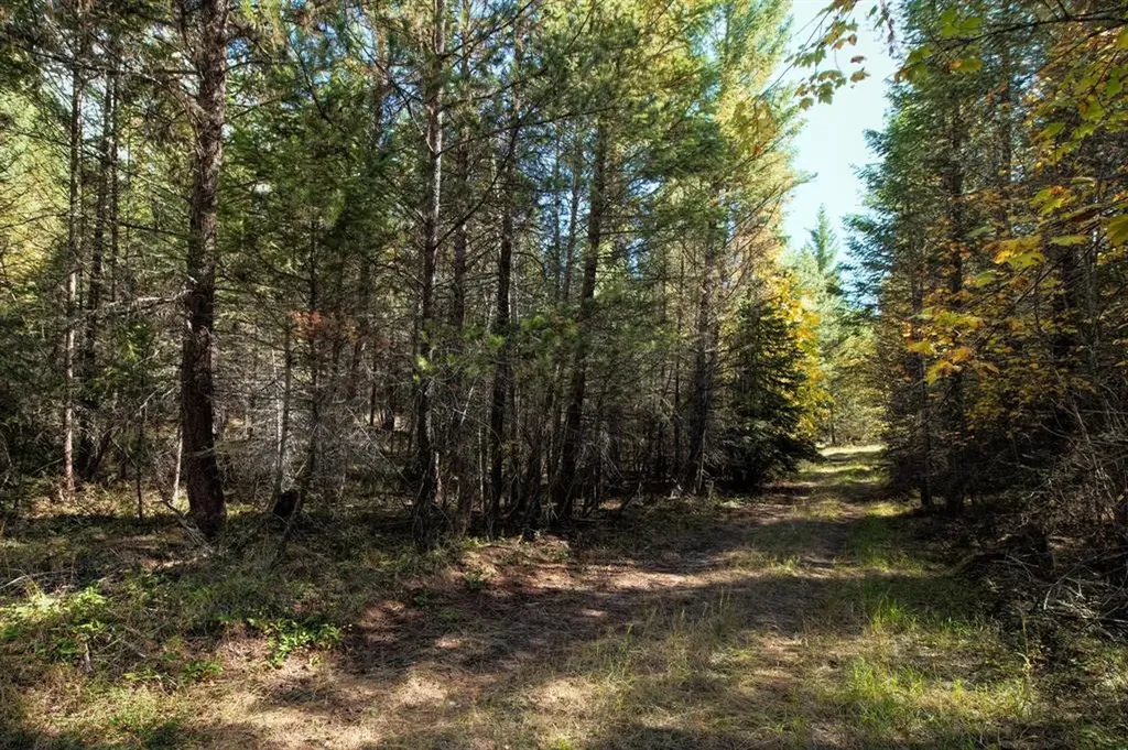 Nhn Sinclair Lane Eureka MT 59917