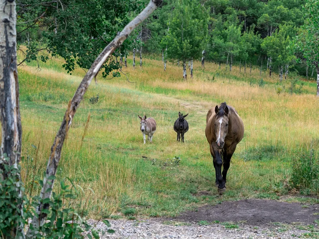 210 Upper Kelly Creek Road Bozeman MT 59715