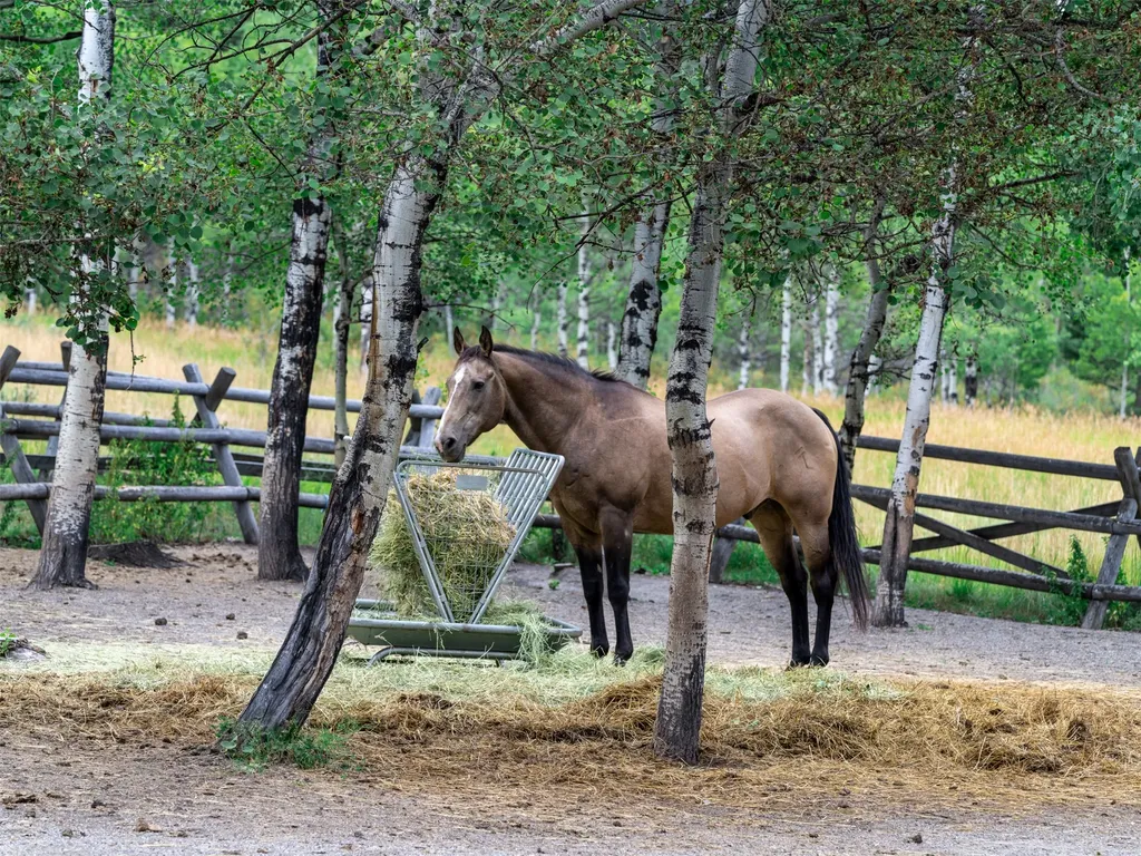 210 Upper Kelly Creek Road Bozeman MT 59715