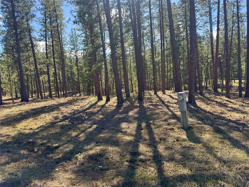 21481 Nine Mile Road Huson MT 59846