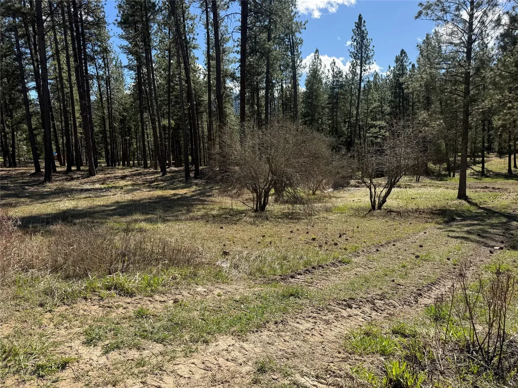 21481 Nine Mile Road Huson MT 59846