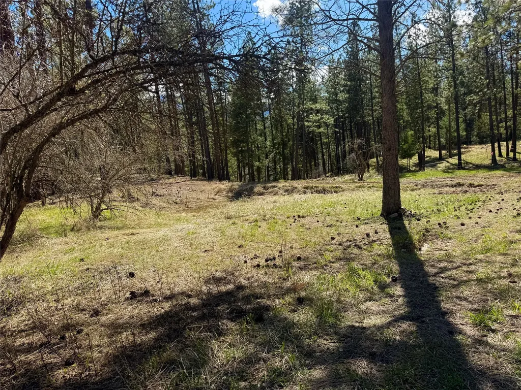 21481 Nine Mile Road Huson MT 59846