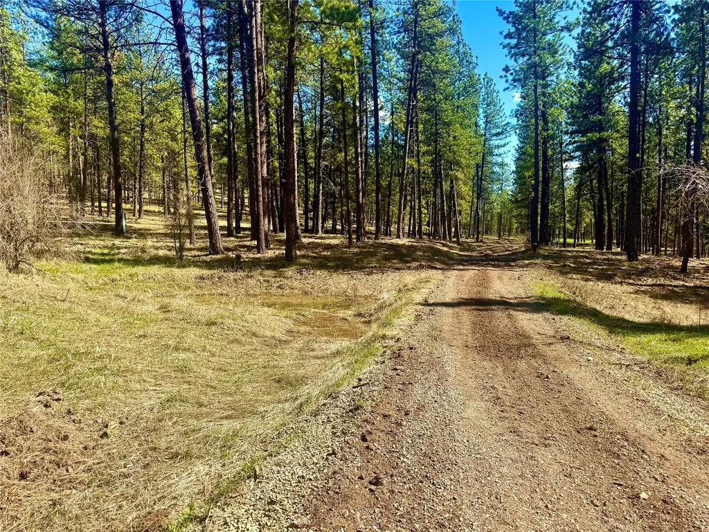 21481 Nine Mile Road Huson MT 59846