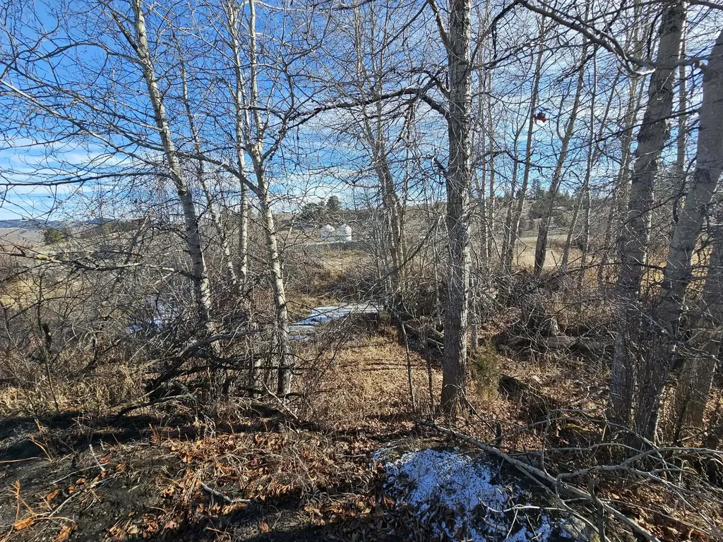 198 Mullan Trail Road Gold Creek MT 59733